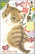デラックスねこぱんちキジトラ猫の小梅さん’12