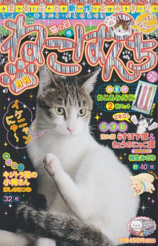 ねこぱんち猫の目号