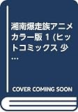 湘南爆走族 の書影