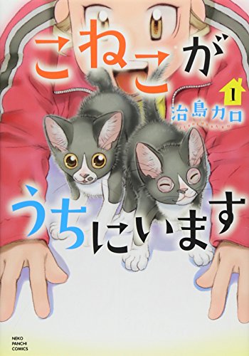 こねこがうちにいますの表紙