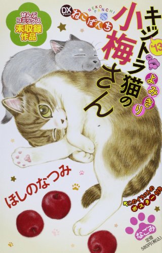 デラックスねこぱんち キジトラ猫の小梅さん’13