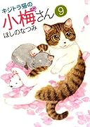 キジトラ猫の小梅さん 9