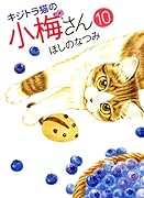 キジトラ猫の小梅さん 10