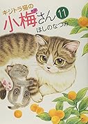 キジトラ猫の小梅さん 11