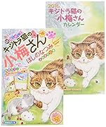 デラックスねこぱんち キジトラ猫の小梅さん’16