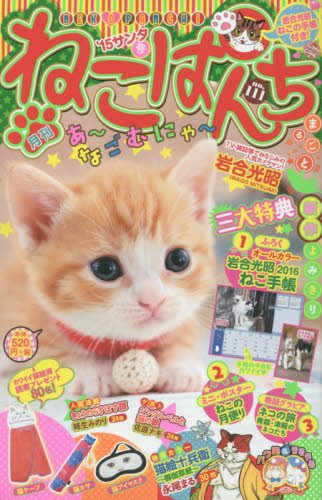 ねこぱんち ’15サンタ号
