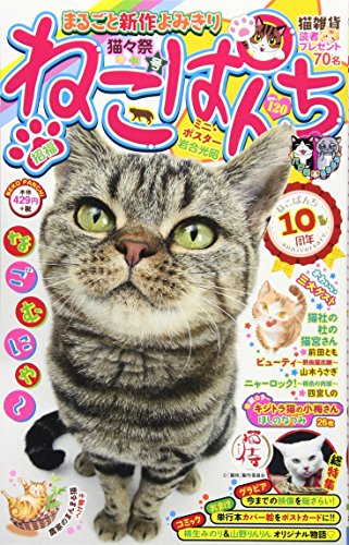 ねこぱんち 猫々祭号