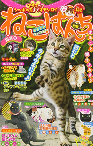 ねこぱんち猫耳号