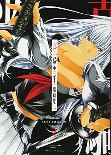 真・一騎当千(2)