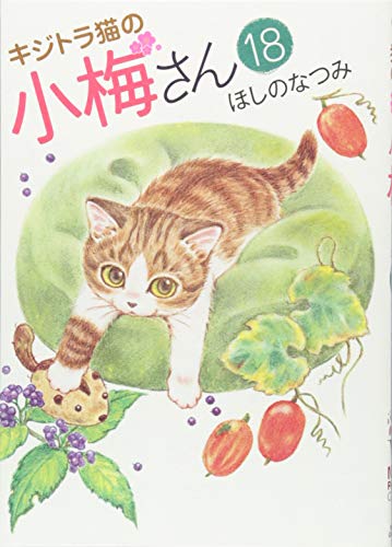 キジトラ猫の小梅さん(18)