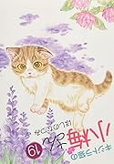 キジトラ猫の小梅さん 19