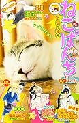 ねこぱんち 星祭り猫号