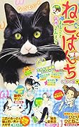 ねこぱんち 夕涼み猫号