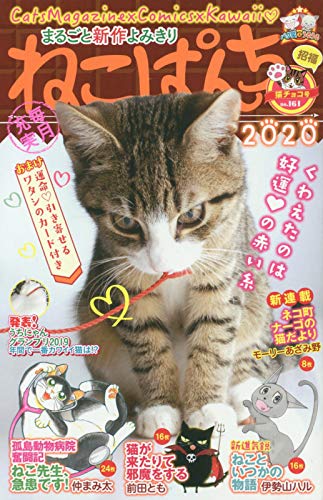 ねこぱんち 猫チョコ号