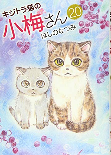 キジトラ猫の小梅さん 20