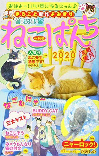 ねこぱんち 夏の猫号