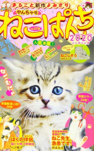 ねこぱんち やんちゃ号