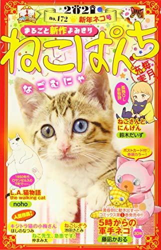 ねこぱんち 新年ネコ号