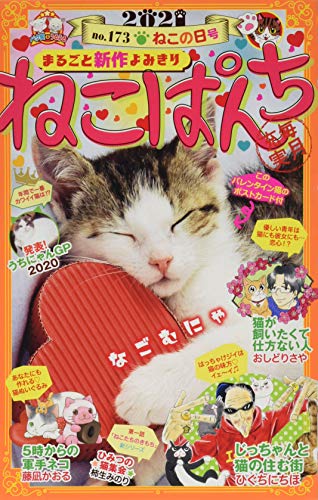 ねこぱんち ねこの日号