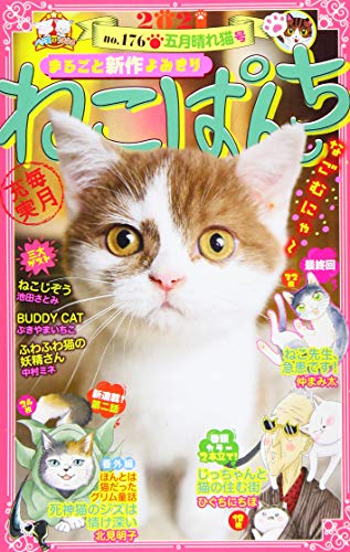 ねこぱんち 五月晴れ猫号