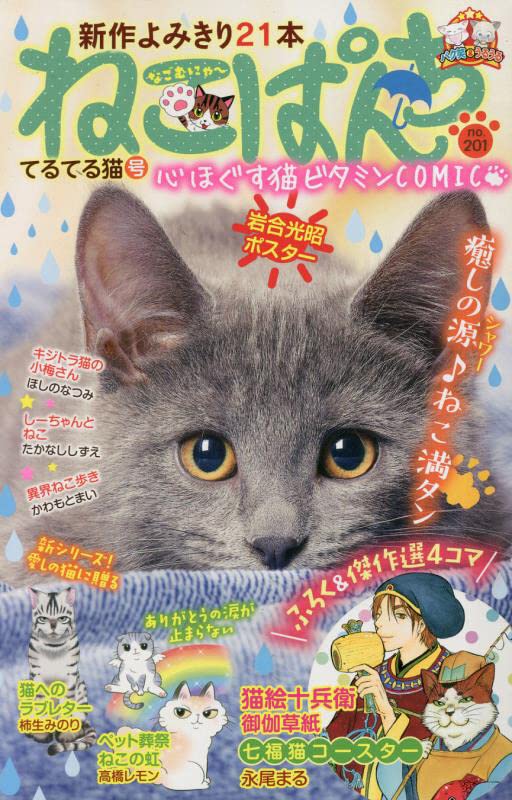 ねこぱんち　てるてる猫号