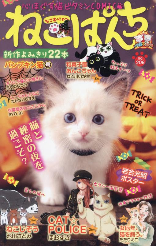 ねこぱんち　パンプキン猫号表紙画像