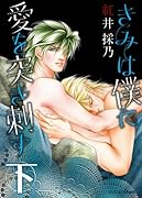 きみは僕に愛を突き刺す(下)