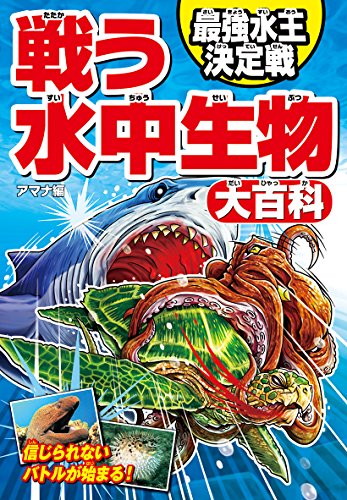 一気にわかる！池上彰の世界情勢２０１８ 国際紛争、一触即発編