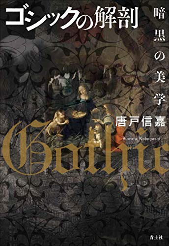 ゴシックの解剖　暗黒の美学