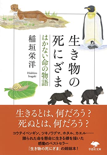 文庫 生き物の死にざま はかない命の物語