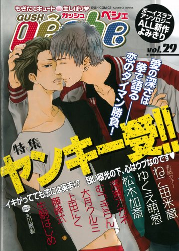 GUSHpeche 29 特集 ヤンキー受!!