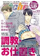 GUSHpeche 33 特集 調教・お仕置き