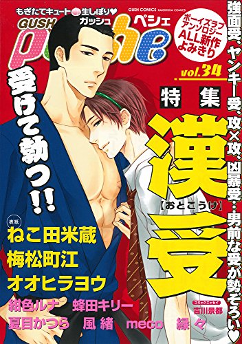 GUSHpeche 34 特集 漢受