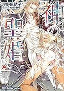 神の聖婚 機械仕掛けの神と復讐者