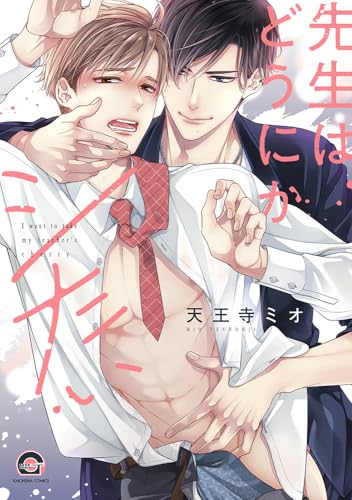 先生はどうにかシたいの表紙