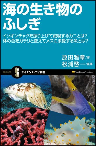 一気にわかる！池上彰の世界情勢２０１８ 国際紛争、一触即発編