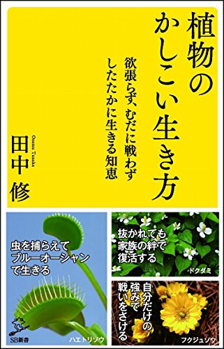 植物のかしこい生き方 欲張らず、むだに戦わずしたたかに生きる知恵