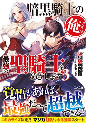 暗黒騎士の俺ですが最強の聖騎士をめざします3