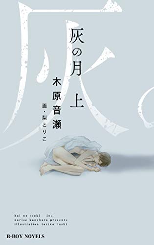 灰の月(上)