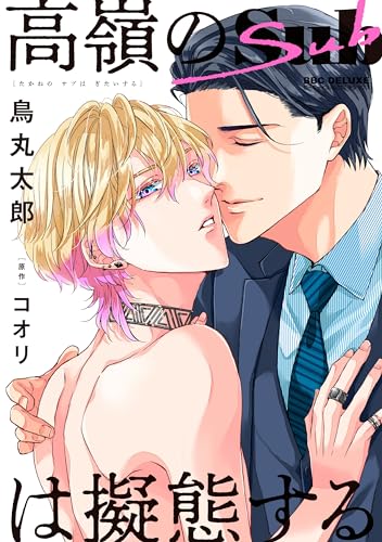 高嶺のSubは擬態するの表紙