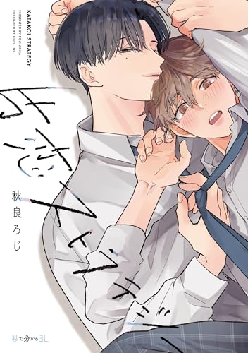 片恋ストラテジーの表紙