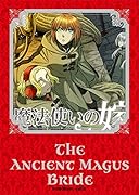 特装版 魔法使いの嫁 14