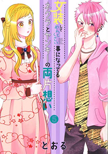 女装してめんどくさい事になってるネクラとヤンキーの両片想い(5)