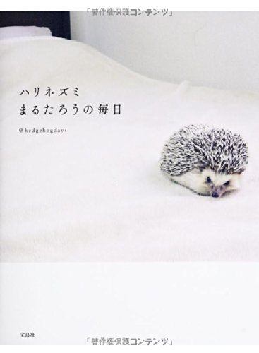 一気にわかる！池上彰の世界情勢２０１８ 国際紛争、一触即発編