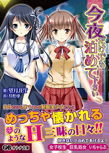 今夜だけでも泊めて下さい