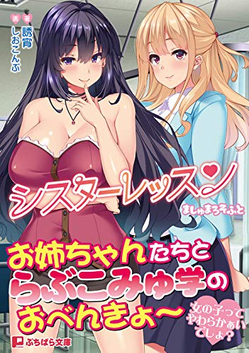 シスターレッスン