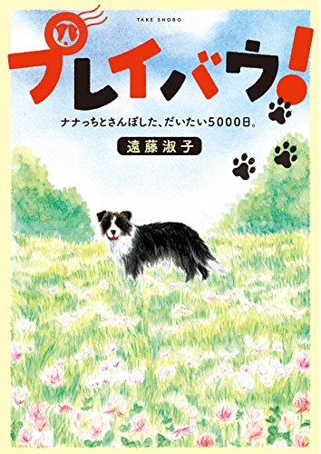 プレイバウ! ナナっちとさんぽした、だいたい5000日。