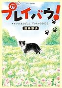 プレイバウ! ナナっちとさんぽした、だいたい5000日。