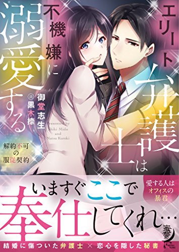 エリート弁護士は不機嫌に溺愛する 解約不可の服従契約