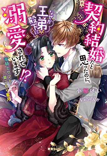 契約結婚だと思ったのに、なぜか王弟殿下に溺愛されています!? 竜騎士サマと巣ごもり蜜月